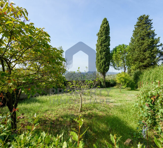 studiofdi-001