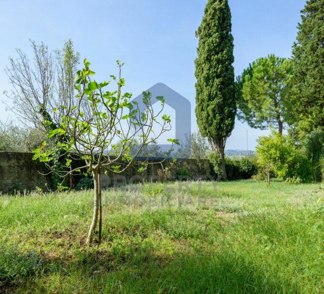 studiofdi-003