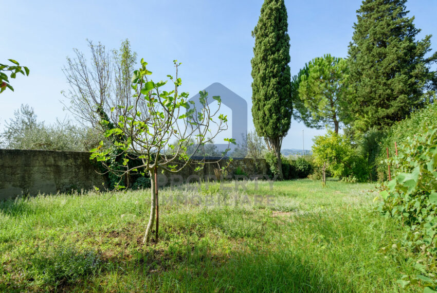 studiofdi-003