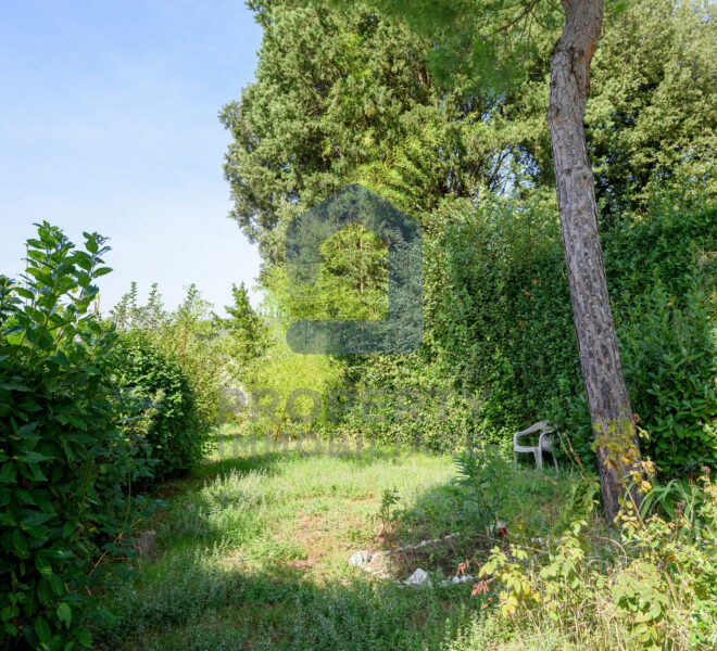 studiofdi-005