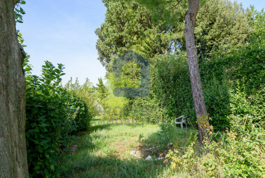 studiofdi-005