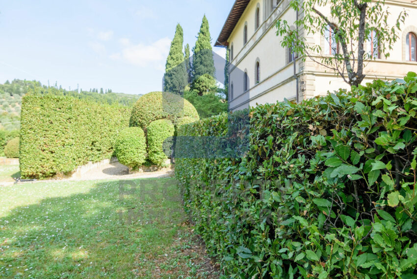 studiofdi-012
