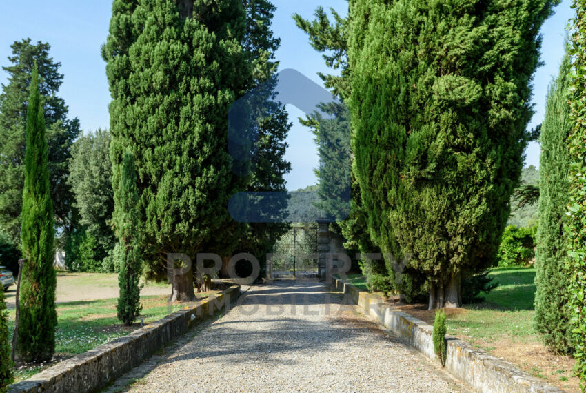 studiofdi-013